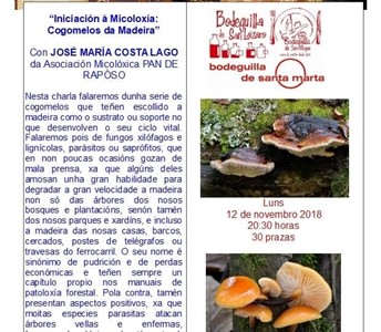 ACTIVIDADES CULTURAIS BODEGUILLA "MICOLOXÍA"