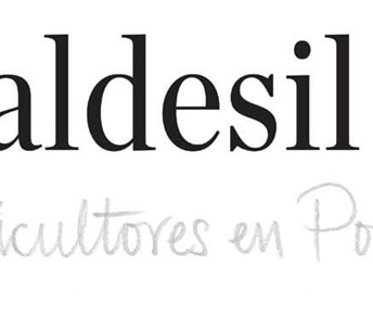 CATA BODEGAS VALDESIL