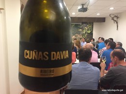 CUÑAS DAVIA BARRICA BLANCO