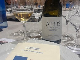 PHOTO-2026-03-25-21-26-04