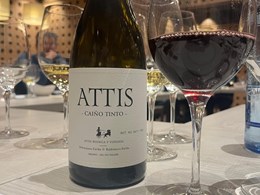 PHOTO-2026-03-25-22-41-03 2