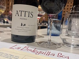 PHOTO-2026-03-25-22-59-42